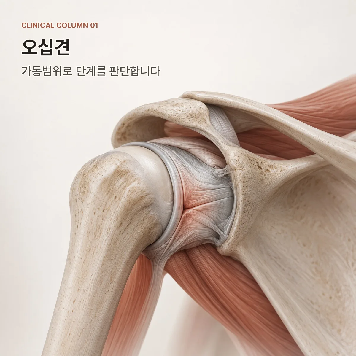 오십견 가동범위 계측과 단계 판정 – 의정부365경희한의원