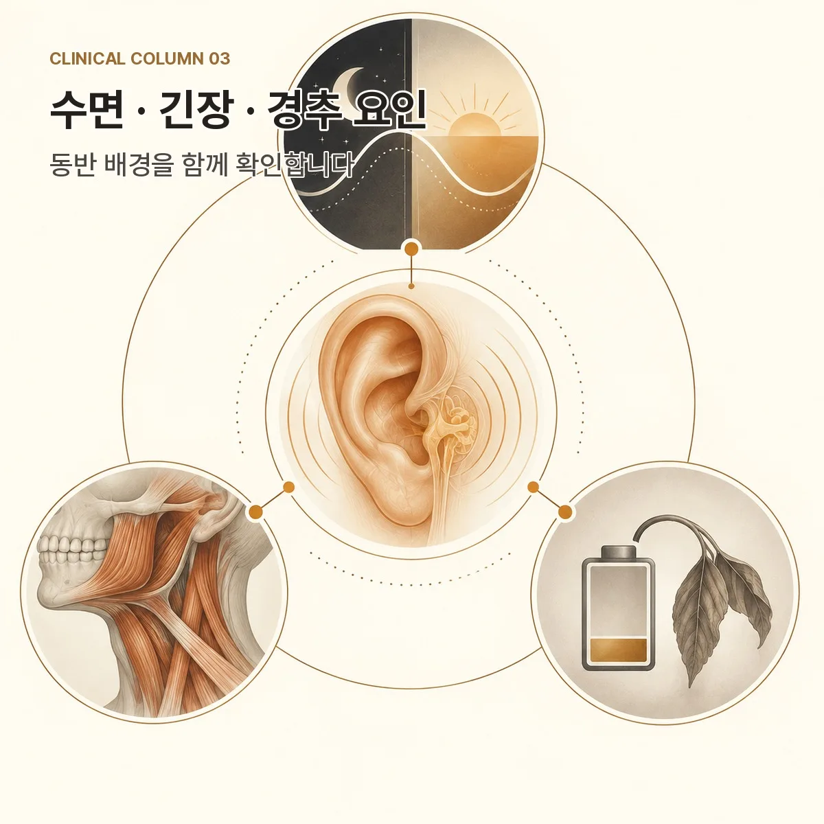 이명 문진에서 확인하는 수면 긴장 경추 요인