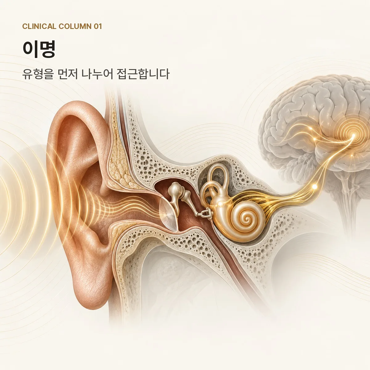 이명 유형 분류와 진료 절차 – 의정부365경희한의원